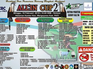 All'In Cup 2