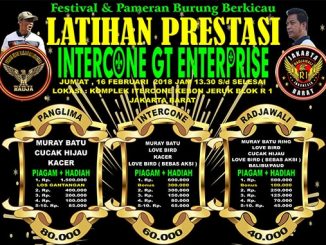 Intercone GT Enterprise