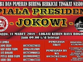 Piala Presiden Jokowi