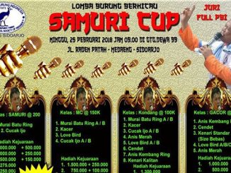 Samuri Cup
