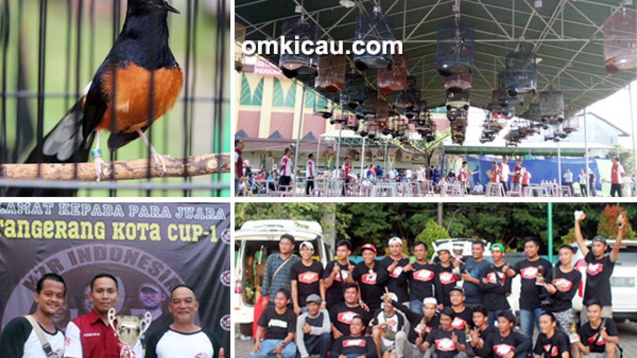 Tangerang Kota Cup 1 Murai Batu Ketu Terbaik Di Kelas Utama
