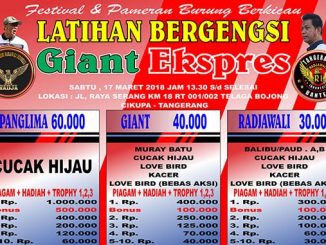 Giant Ekspres