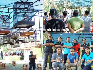 Liga AP Jaya Kabupaten Bengkalis