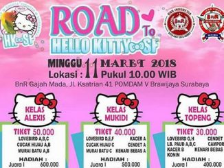 Road to Hello Kitty SF
