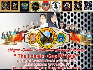 The Lobster Cup IV