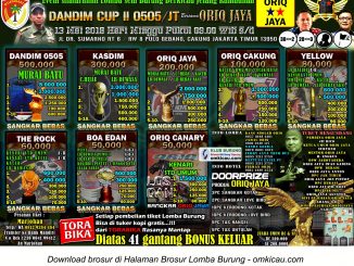 Dandim Cup II 0505 / JT