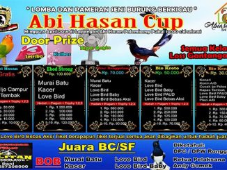 Abi Hasan Cup