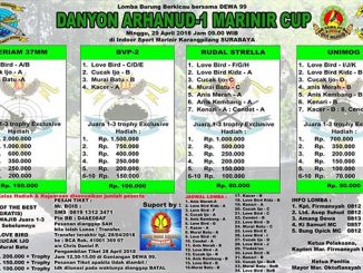 Danyon Arhanud-1 Marinir Cup