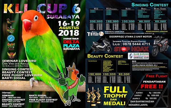 KLI Cup 6