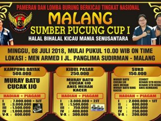 Sumber Pucung Cup I