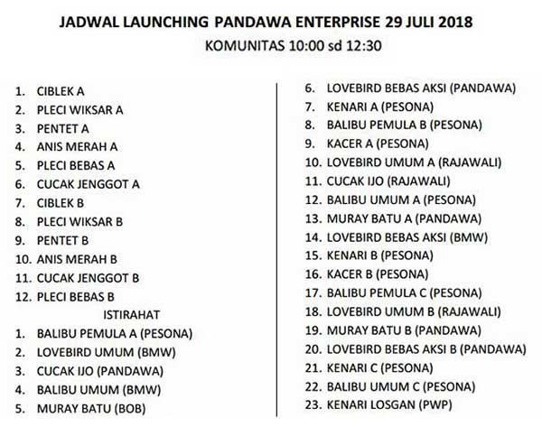 Launching Pandawa Enterprise