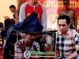 Piala Kapolres Metro Jakarta Selatan