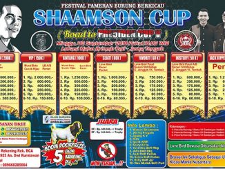 Shaamson Cup
