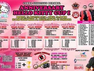 Anniversary Hello Kitty Cup I