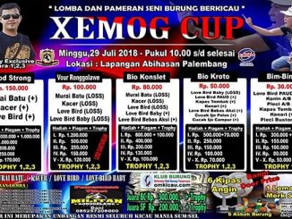 Xemog Cup