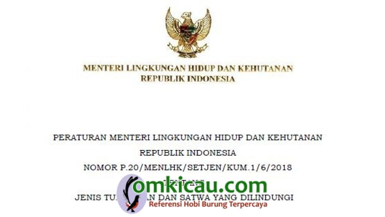 32++ Burung apa aja yg dilindungi terupdate