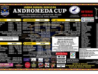 Andromeda Cup
