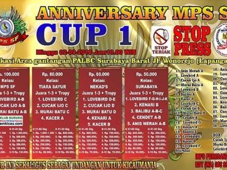 Anniversary MPS SF Cup 1