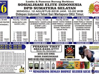 Sosialisasi Elite Indonesia DPD Sumsel