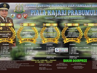 Piala Kajari Prabumulih