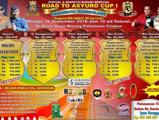 Road to Asyuro Cup