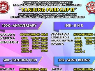Tanjung Puri Cup II