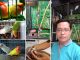 breeding lovebird AB Bird Farm Makassar