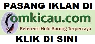 PASANG IKLAN DI OMKICAU.COM