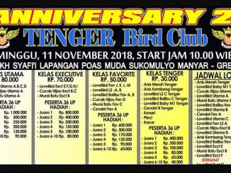 2nd Anniversary Tenger BC