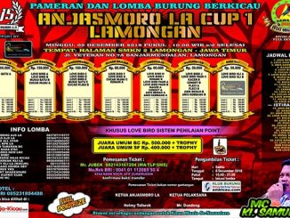 Anjasmoro LA Cup 1