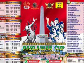 Pahlawan Cup