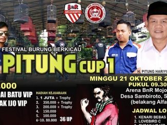 Pitung Cup I