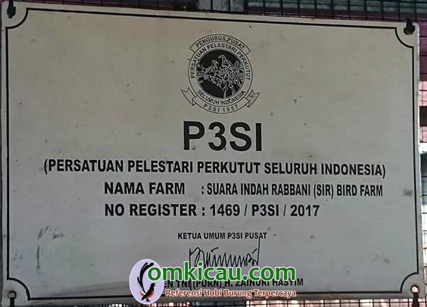 P3SI