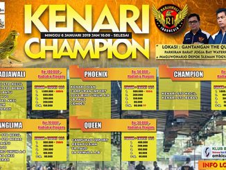 Kenari Champion