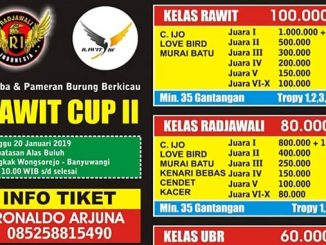 Rawit Cup II