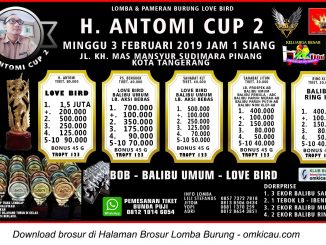 H Antomi Cup 2