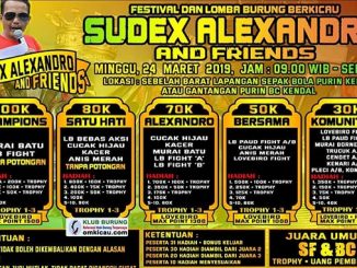 Sudex Alexandro and Friends