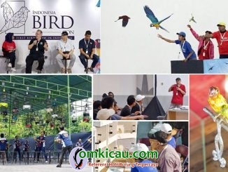 Indonesia Bird Con 2019