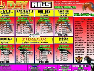 1 Day Anis