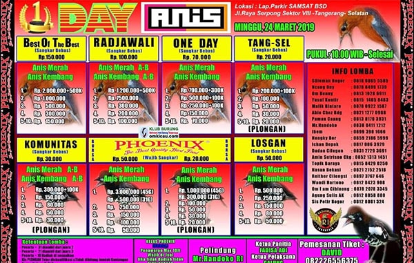 1 Day Anis
