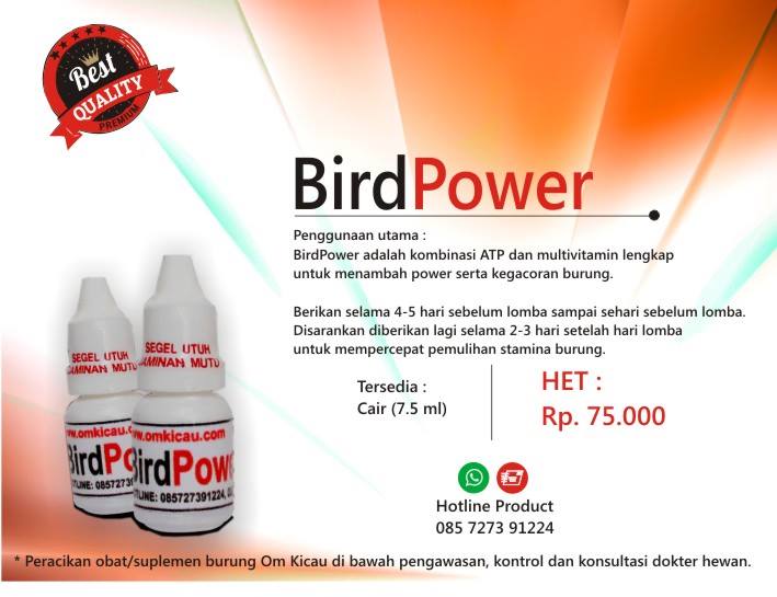 Bird Power