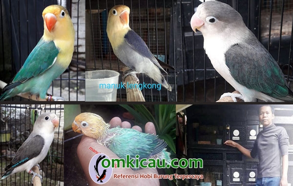 Wahyu BF Manuk Lengkong