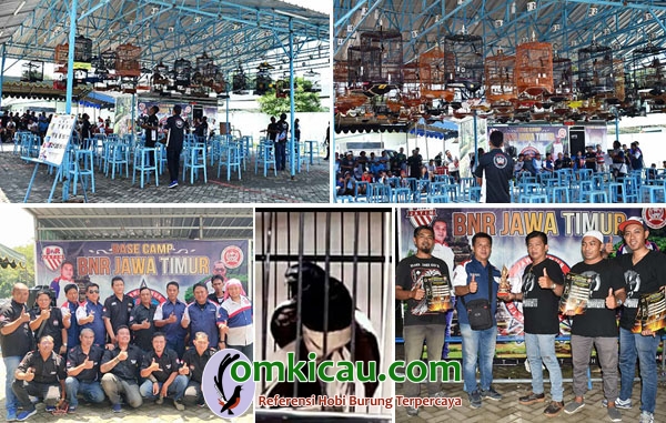 Road to Kacer Vaganza