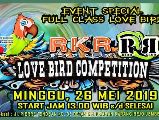 Love Bird Competition RKR BC