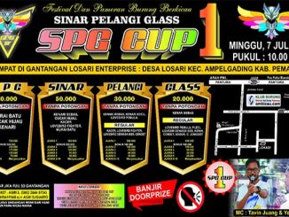 SPG Cup 1