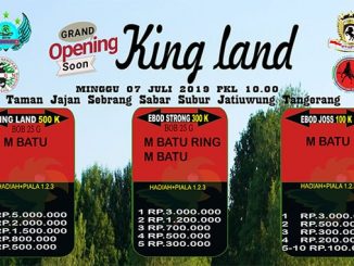 Grand Opening King Land