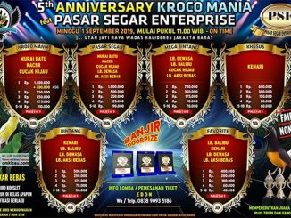5th Anniversary Kroco Mania