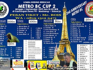 Metro BC Cup 2