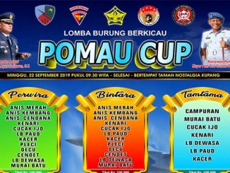 POMAU Cup