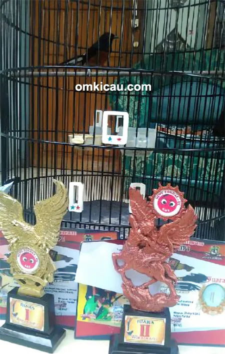 Murai Batu Brajamusti